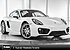 2016 Porsche Cayman for sale 101110048